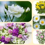 Dịch vụ thành lập công ty cổ phần ở Bắc Kạn 6 Muốn thành lập công ty cổ phần ở Bắc Kạn