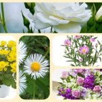 Dịch vụ thành lập công ty cổ phần ở Bến Tre 6 Muốn thành lập công ty cổ phần ở Bến Tre