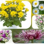Dịch vụ thành lập công ty cổ phần ở Bình Định 6 Muốn thành lập công ty cổ phần ở Bình Định