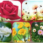 Muốn thành lập công ty cổ phần ở Điện Biên