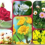 Dịch vụ thành lập công ty cổ phần ở Đồng Tháp 6 Muốn thành lập công ty cổ phần ở Đồng Tháp