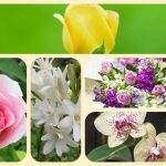 Dịch vụ thành lập công ty cổ phần ở Hà Nội 6 Muốn thành lập công ty cổ phần ở Hà Nội