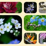 Dịch vụ thành lập công ty cổ phần ở Huyện Bình Chánh 6 Muốn thành lập công ty cổ phần ở Huyện Bình Chánh