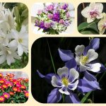 Dịch vụ thành lập công ty cổ phần ở Huyện Phúc Thọ 6 Muốn thành lập công ty cổ phần ở Huyện Phúc Thọ
