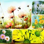 Dịch vụ thành lập công ty cổ phần ở Lâm Đồng 6 Muốn thành lập công ty cổ phần ở Lâm Đồng