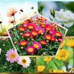 Dịch vụ thành lập công ty cổ phần ở Lào Cai 6 Muốn thành lập công ty cổ phần ở Lào Cai