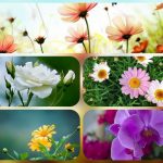 Muốn thành lập công ty cổ phần ở Ninh Bình