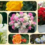Dịch vụ thành lập công ty cổ phần ở Quận 1 6 Muốn thành lập công ty cổ phần ở Quận 1