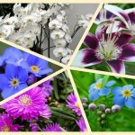Dịch vụ thành lập công ty cổ phần ở Quận 11 6 Muốn thành lập công ty cổ phần ở Quận 11