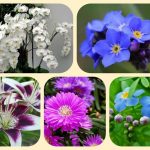 Dịch vụ thành lập công ty cổ phần ở Quận 12 6 Muốn thành lập công ty cổ phần ở Quận 12