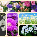 Dịch vụ thành lập công ty cổ phần ở Quận 9 6 Muốn thành lập công ty cổ phần ở Quận 9