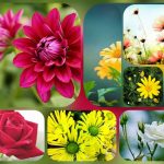 Dịch vụ thành lập công ty cổ phần ở Quảng Ninh – Chi tiết và Lợi ích 6 Muốn thành lập công ty cổ phần ở Quảng Ninh