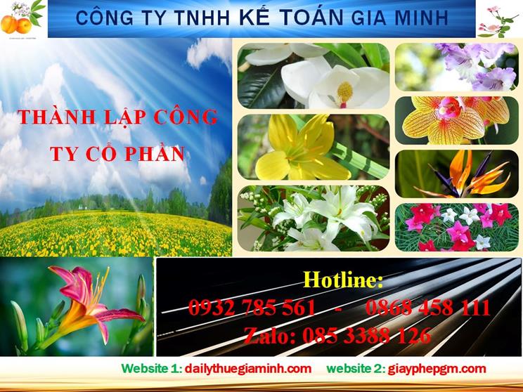Dịch vụ thành lập công ty cổ phần ở Quảng Ninh – Chi tiết và Lợi ích 4 Dịch vụ thành lập công ty cổ phần ở Quảng Ninh