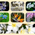 Dịch vụ thành lập công ty cổ phần ở TP Hồ Chí Minh 6 Muốn thành lập công ty cổ phần ở TP Hồ Chí Minh