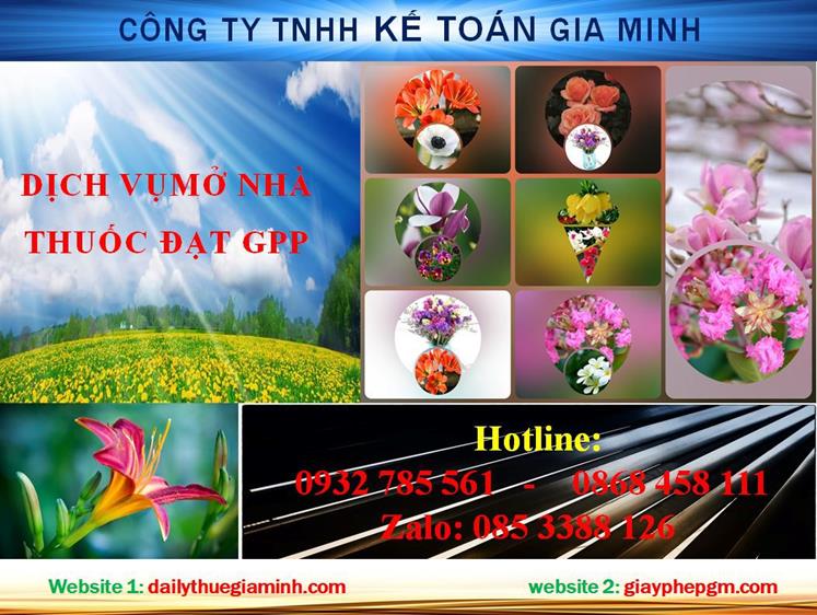 Dịch vụ mở nhà thuốc đạt GPP tại Hà Giang 1 Thủ tục mở nhà thuốc đạt GPP tại Hà Giang
