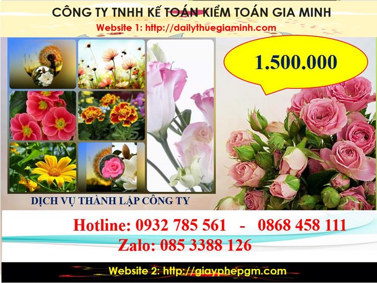Dịch vụ thành lập công ty du lịch tại Hà Nội 5 Chi phí thành lập công ty du lịch tại Hà Nội
