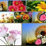 Dịch vụ thành lập công ty du lịch tại Hà Nội 6 Muốn thành lập công ty du lịch tại Hà Nội