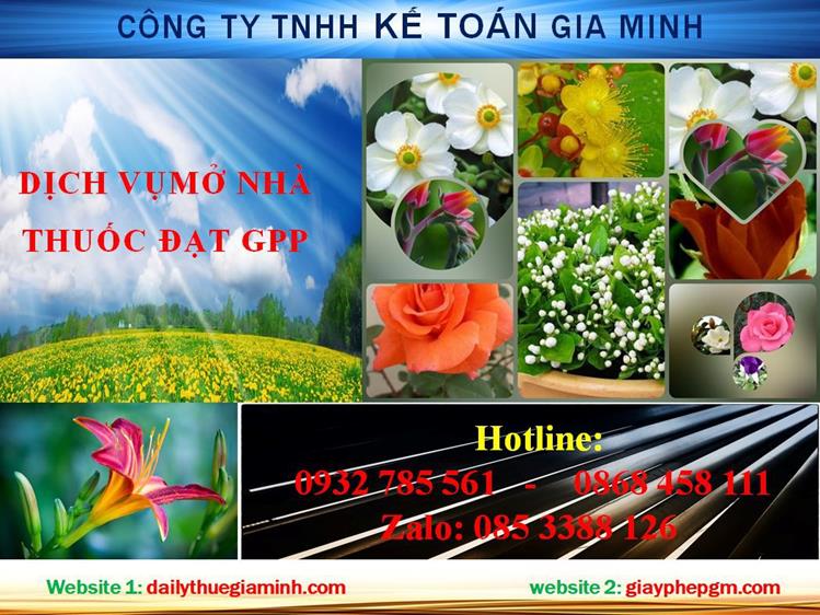Dịch vụ mở nhà thuốc đạt GPP tại Hải Phòng 4 Thủ tục mở nhà thuốc đạt GPP tại Hải Phòng