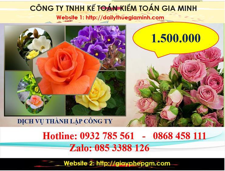 Chi phí thành lập công ty du lịch tại huyện Bắc Tân Uyên