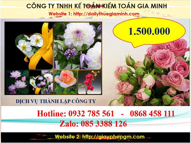 Chi phí thành lập công ty du lịch tại huyện Bàu Bàng