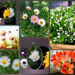 Dịch vụ thành lập công ty du lịch tại huyện Bình Chánh 6 Muốn thành lập công ty du lịch huyện Bình Chánh