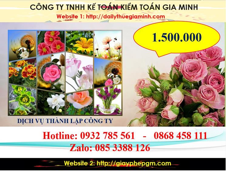 Dịch vụ thành lập công ty du lịch tại huyện Bình Chánh 5 Chi phí thành lập công ty du lịch tại huyện Bình Chánh