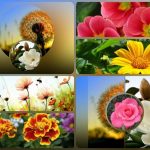 Dịch vụ thành lập công ty du lịch tại huyện Phú Giáo 6 Muốn thành lập công ty du lịch huyện Phú Giáo