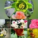 Dịch vụ thành lập công ty du lịch tại huyện Từ Liêm 6 Muốn thành lập công ty du lịch tại huyện Từ Liêm