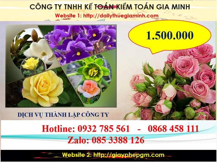 Dịch vụ thành lập công ty du lịch tại huyện Ứng Hòa 5 Chi phí thành lập công ty du lịch tại huyện Ứng Hòa