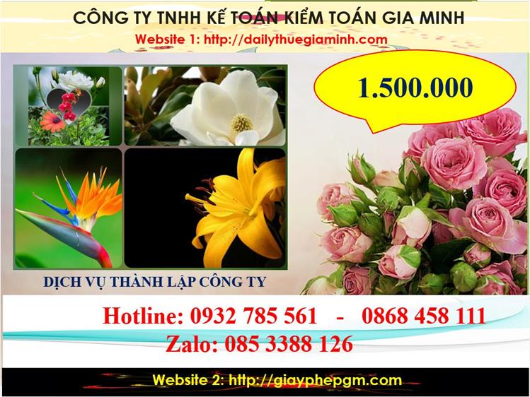 Dịch vụ thành lập công ty du lịch tại Quận 1 5 Chi phí thành lập công ty du lịch tại Quận 1