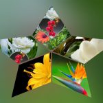Dịch vụ thành lập công ty du lịch tại Quận 11 6 Muốn thành lập công ty du lịch Quận 11