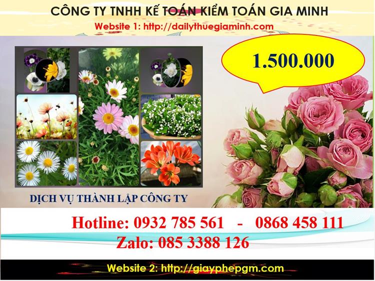 Dịch vụ thành lập công ty du lịch tại Quận 11 5 Chi phí thành lập công ty du lịch tại Quận 11