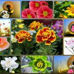 Dịch vụ thành lập công ty du lịch tại Quận 12 6 Muốn thành lập công ty du lịch Quận 12