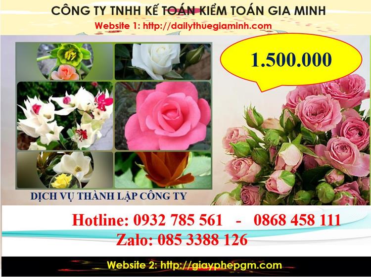 Dịch vụ thành lập công ty du lịch tại Quận 7 5 Chi phí thành lập công ty du lịch tại Quận 7