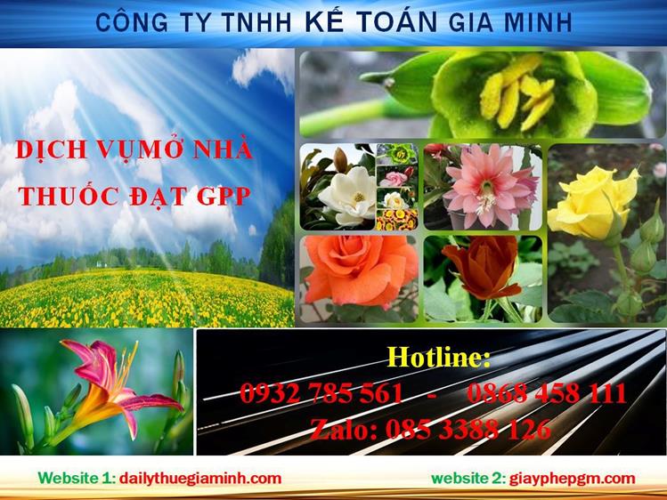 Dịch vụ mở nhà thuốc đạt GPP tại Thái Nguyên 4 Thủ tục mở nhà thuốc đạt GPP tại Thái Nguyên