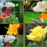 Dịch vụ thành lập công ty du lịch tại Thanh Hóa 6 Muốn thành lập công ty du lịch tại Thanh Hóa