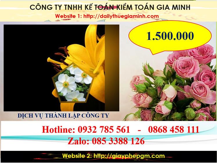 Chi phí thành lập công ty du lịch tại thành phố Thủ Dầu Một