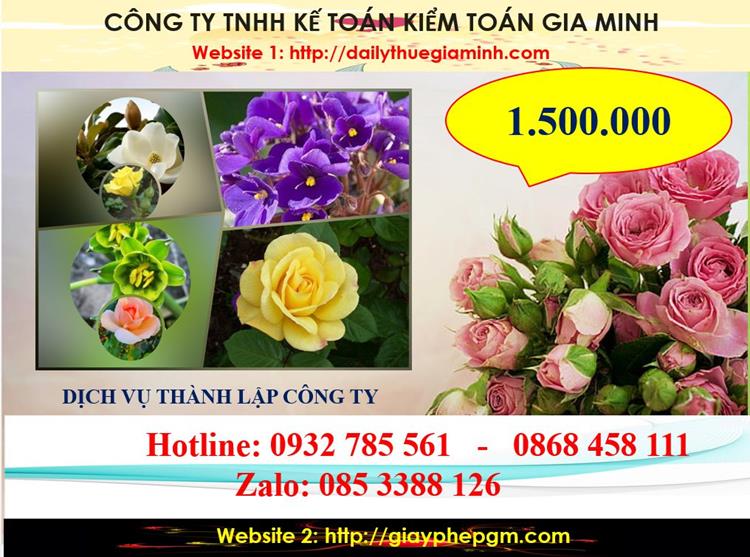 Chi phí thành lập công ty du lịch tại thị xã Bến Cát