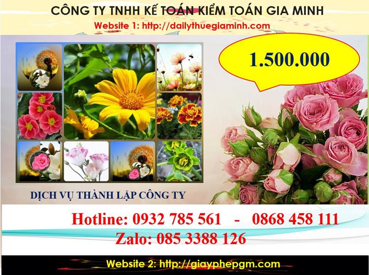 Chi phí thành lập công ty du lịch tại thị xã Dĩ An