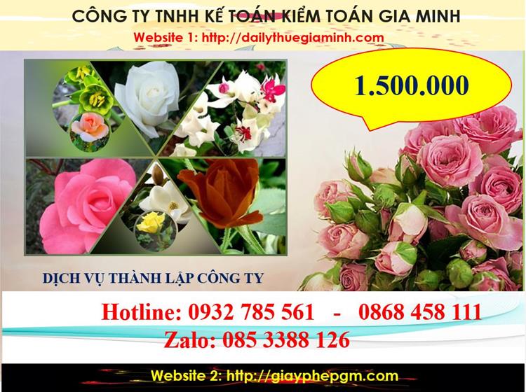 Dịch vụ thành lập công ty du lịch tại Tuyên Quang 5 Chi Phí thành lập công ty du lịch tại Tuyên Quang