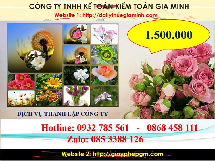 Dịch vụ thành lập công ty du lịch tại Vĩnh Phúc 5 Chi Phí thành lập công ty du lịch tại Vĩnh Phúc