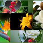 Dịch vụ thành lập công ty du lịch tại Vĩnh Phúc 6 Muốn thành lập công ty du lịch tại Vĩnh Phúc