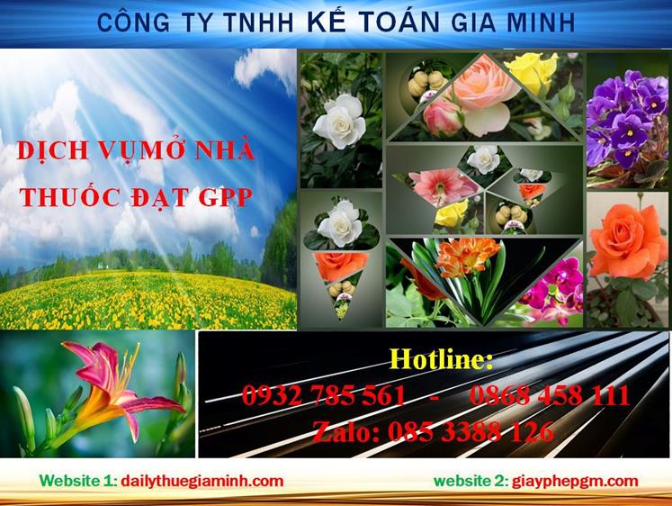 Dịch vụ mở nhà thuốc đạt GPP tại Vĩnh Phúc 4 Thủ tục mở nhà thuốc đạt GPP tại Vĩnh Phúc