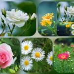 Dịch vụ thành lập công ty nhanh tại Bắc Giang 6 Muốn thành lập công ty nhanh tại Bắc Giang