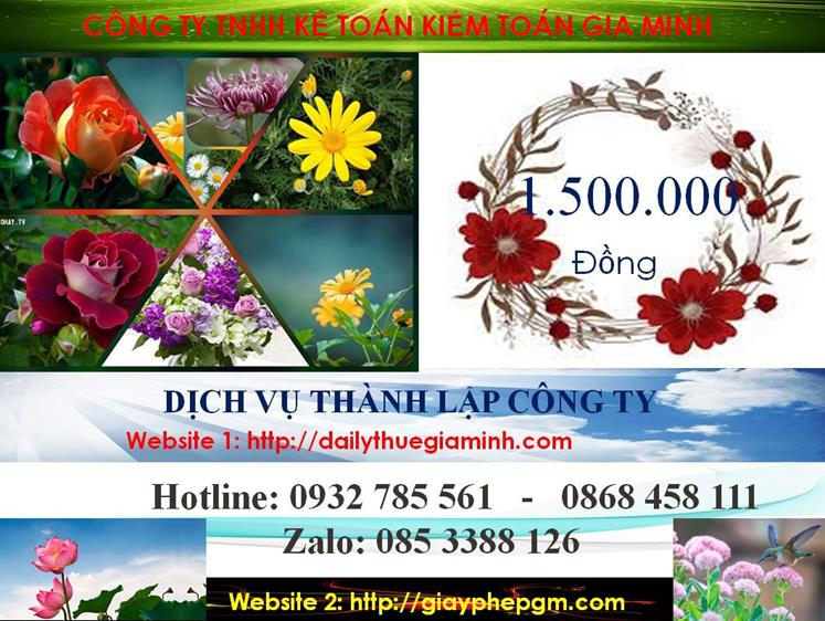 Dịch vụ thành lập công ty nhanh tại Bắc Kạn 5 Chi phí thành lập công ty nhanh tại Bắc Kạn