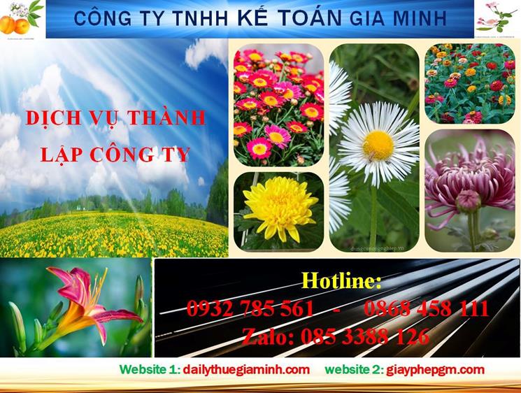 Dịch vụ thành lập công ty nhanh tại Bắc Kạn 4 Thủ tục thành lập công ty nhanh tại Bắc Kạn