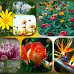 Dịch vụ thành lập công ty nhanh tại Điện Biên 6 Muốn thành lập công ty nhanh tại Điện Biên