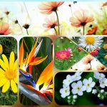 Dịch vụ thành lập công ty nhanh tại Hải Dương 6 Muốn thành lập công ty nhanh tại Hải Dương