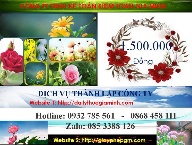 Dịch vụ thành lập công ty nhanh tại Hải Phòng 5 Chi phí thành lập công ty nhanh tại Hải Phòng