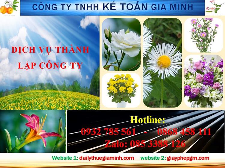 Dịch vụ thành lập công ty nhanh tại Hải Phòng 4 Thủ tục thành lập công ty nhanh tại Hải Phòng